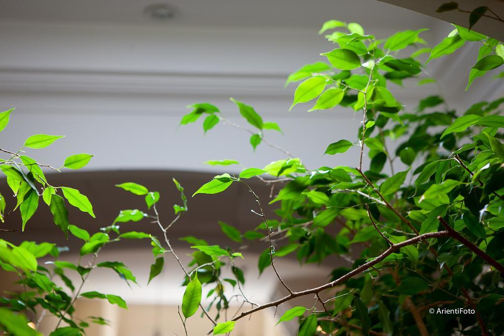 Albergo Del Lago กาปัลบีโอ ภายนอก รูปภาพ